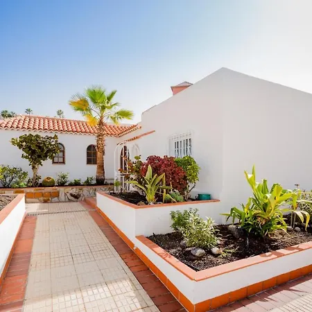 El Beril 82, Tenerife